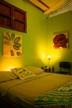 Villas Advi
